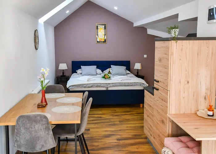 Studio Apartment Oaza